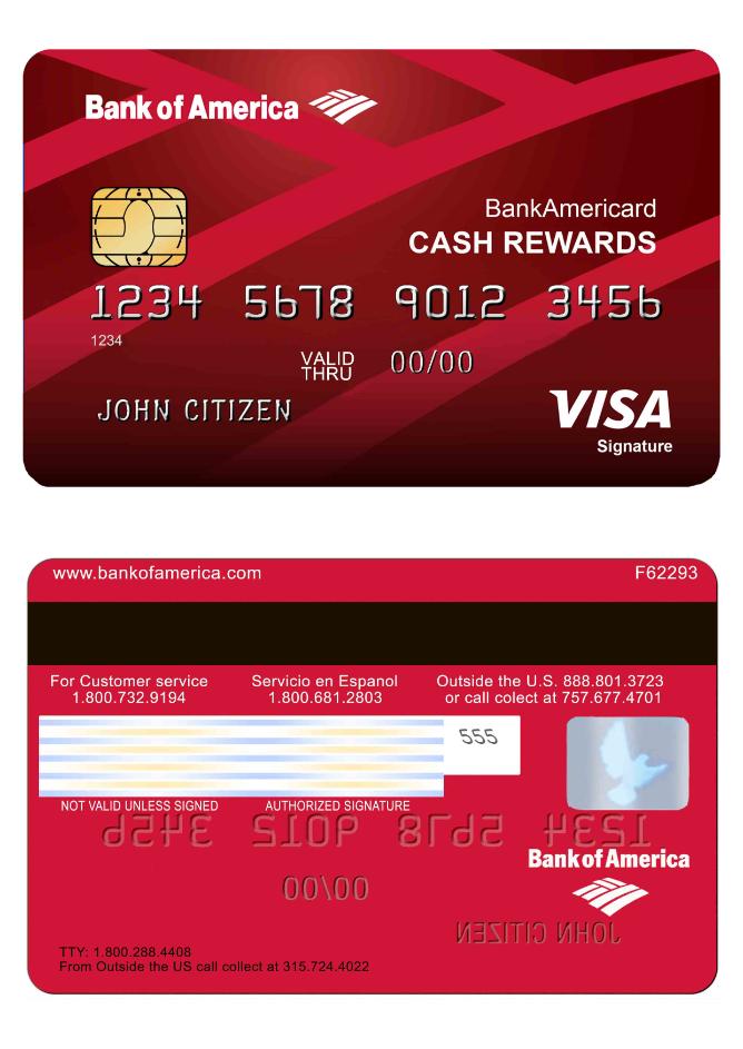 USA Bank of America Visa card 1